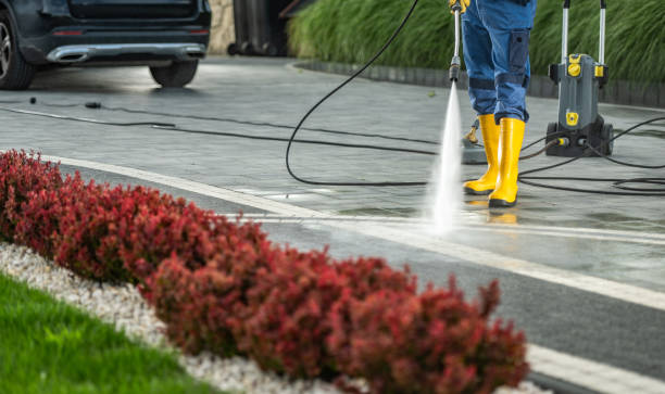 Best Building Exterior Washing  in Moa, UT